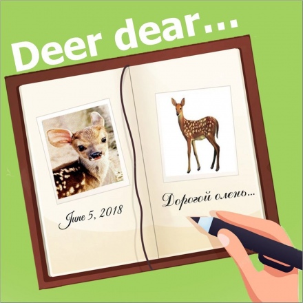 Deer dear...